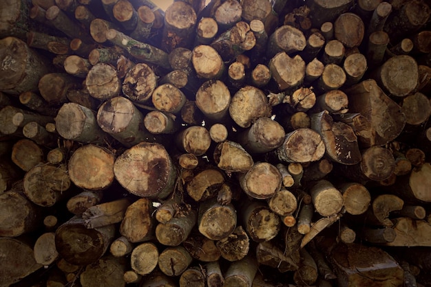 a pile of wood logs