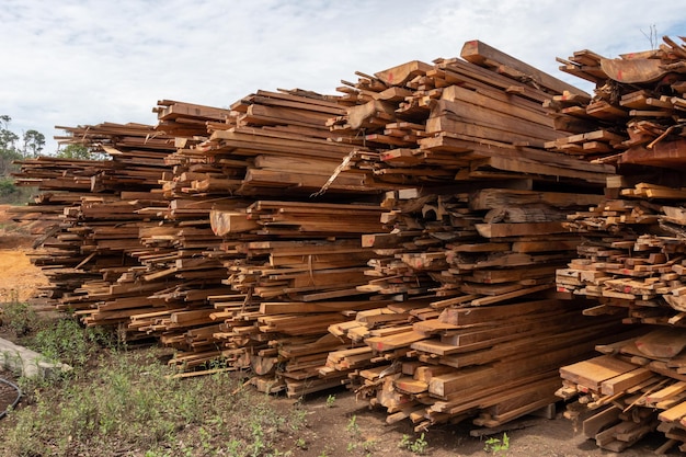 Pile of wood scraps from a sawmill industry