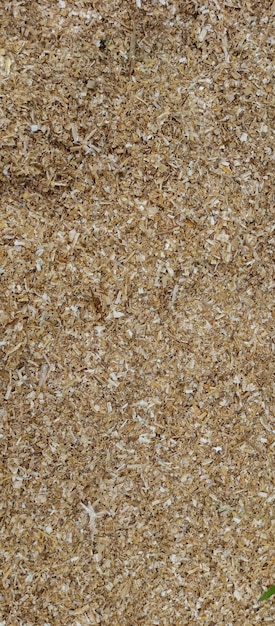 Pile of wood shavings background pile of wood shavings taken closeup angle