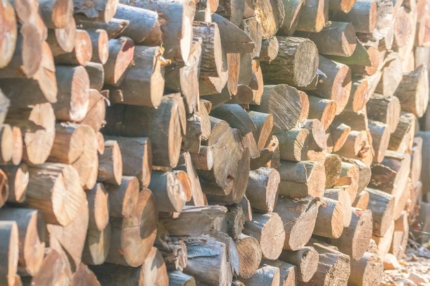 Pile of Wood, Stack of Firewood Close Up, Background