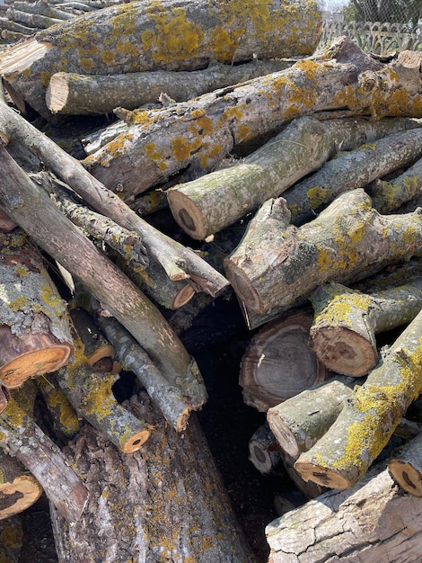 A pile of wood with the word fire on it