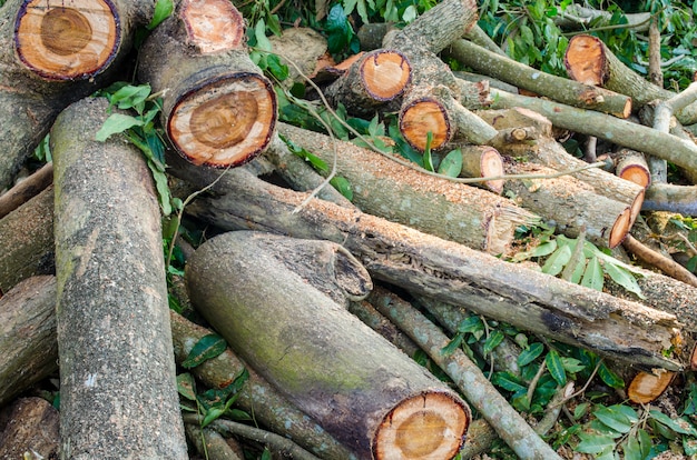 Foto mucchio di legno