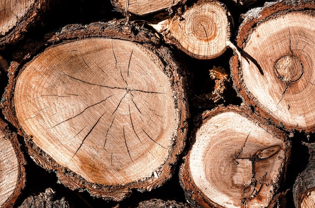 Pile of wooden logs stacked together on top of each other. Timber texture