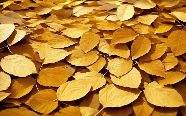 A pile of yellow leaves with the word aspen on the bottom.