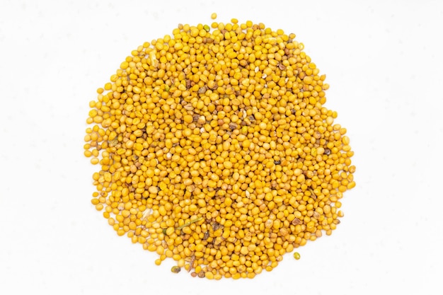 Pile of yellow seeds of mustard close up on gray