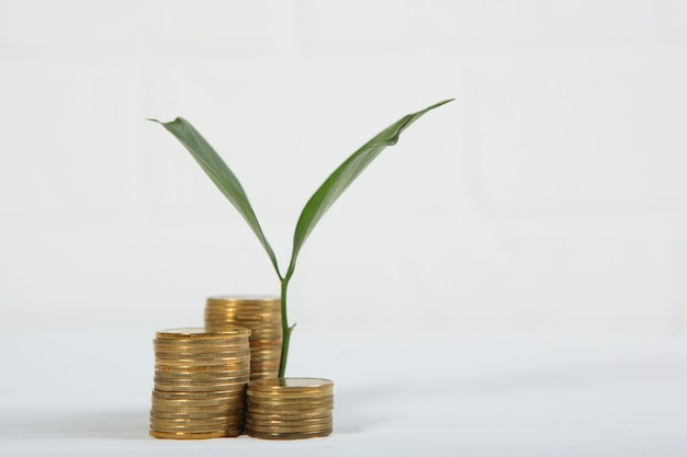 金貨の山と新鮮な芽の現金収入の成長の概念