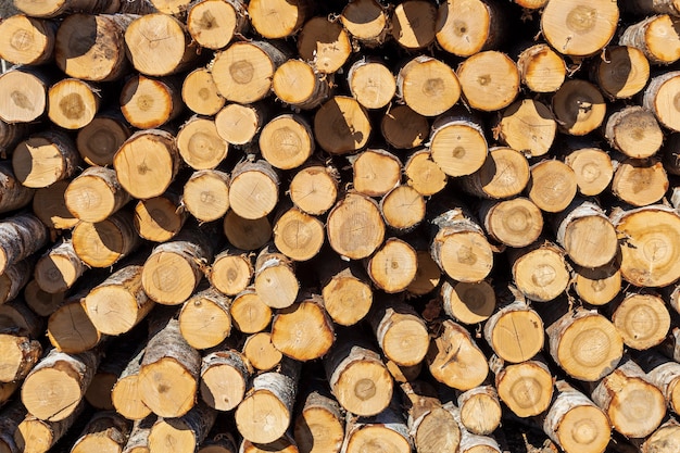 Piles of logs lie outdoors. Timber warehouse. High quality photo