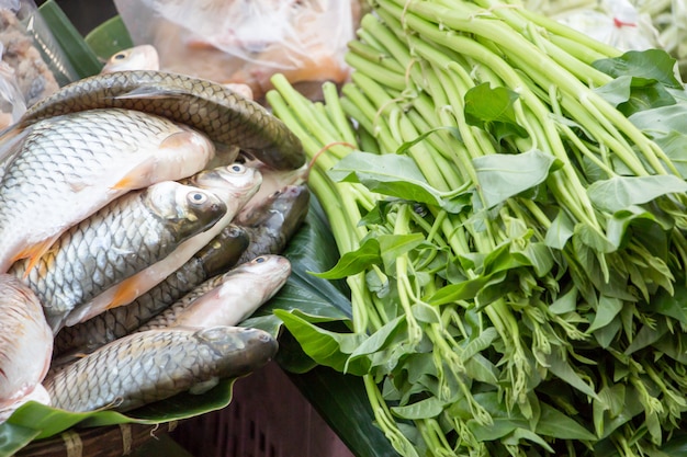 生の魚と新鮮な朝の栄光の杭