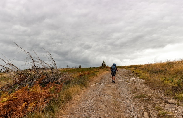 Паломник, идущий по пути Святого Иакова под названием Chemin du Puy France