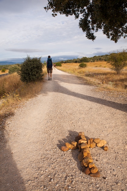 Pilgrimn langs de weg van St. James