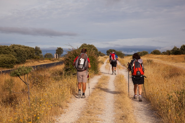 Pilgrimns along the way of St. James