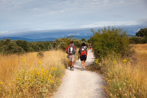 Pilgrimns along the way of St. James