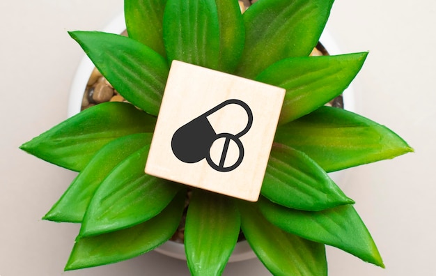 Pill and tablet symbol on wooden cubes on plant ,on white background