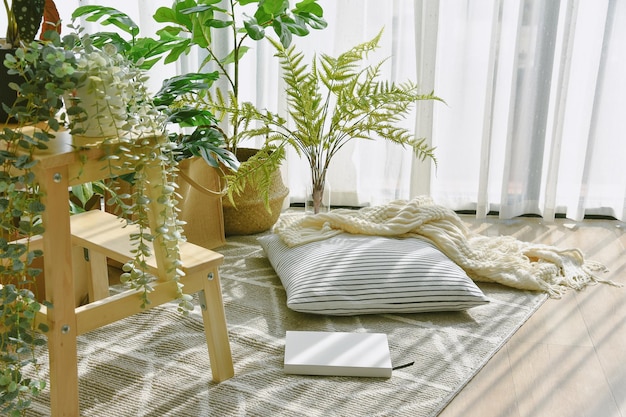 Photo pillow and soft blanket in relaxing space comfort living room with warm and cozy natural light artificial plant indoor tropical houseplant for home interior and air purification