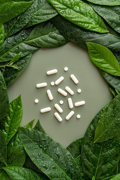 pills surrounded by green leaves top view flat lay