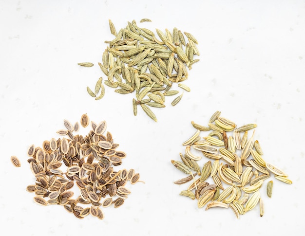 Pinches of anise dill and fennel seeds on gray