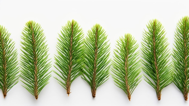 Photo pine background images neutral colors bright background generative ai