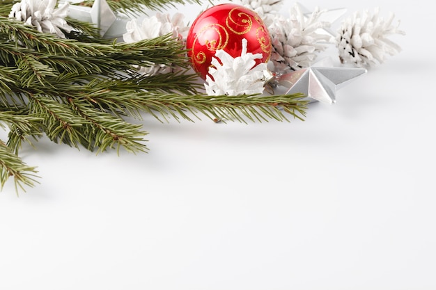 Pine branch on white background, christmas decotation