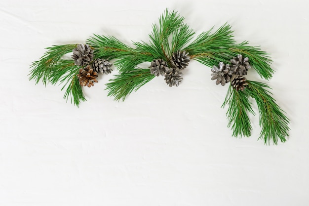 Pine branch with pine cones