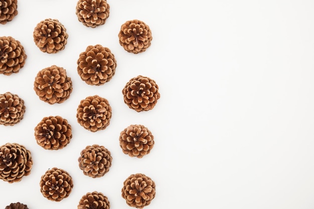 Pine cone arrangement on a white background