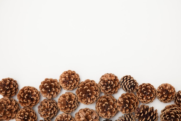 Pine cone arrangement on a white background