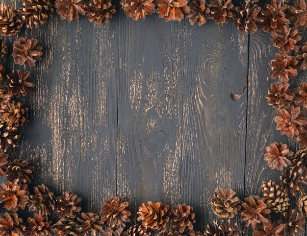 Pine cone background