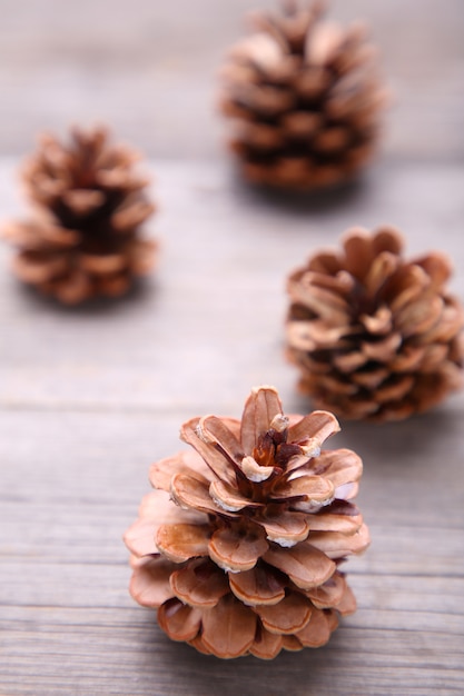 Pine cone on a grey wooden background