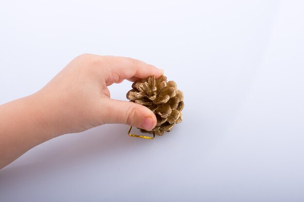 Pine cone in hand on a brown background