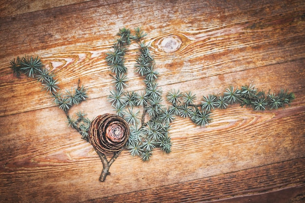 Pine cone on piece of branch on wooden platform