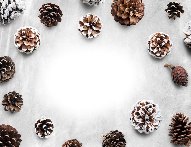 pine cone png border frame design