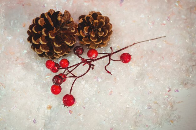 Pine cone and red cherry on snow