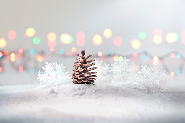 Pine cone on snow