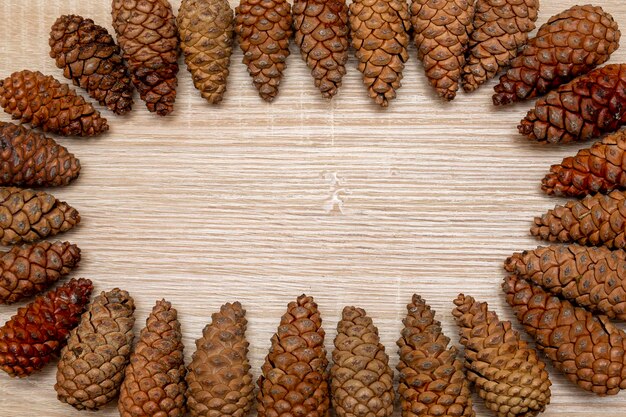 Pine cones background