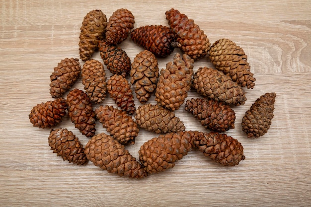 pine cones background