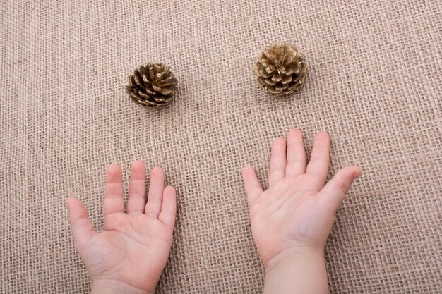 Pine cones beisde toddlers hands