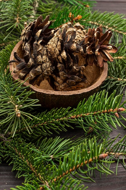 Pine cones in coconut shell among pine branches. top view. dark\
wooden background.