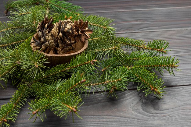 Pine cones in coconut shell among pine branches. Top view. Dark wooden background.