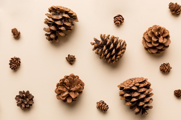 Pine cones on colored table natural holiday background with pinecones grouped together Flat lay Winter concept