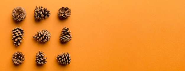 Pine cones on colored table natural holiday background with pinecones grouped together Flat lay Winter concept