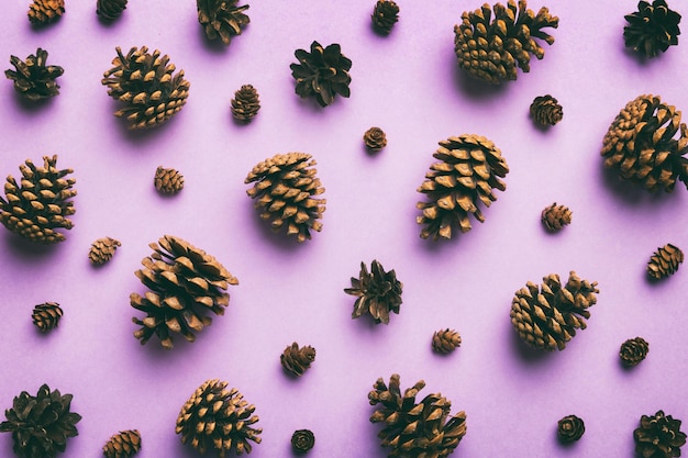 Pine cones on colored table natural holiday background with\
pinecones grouped together flat lay winter concept