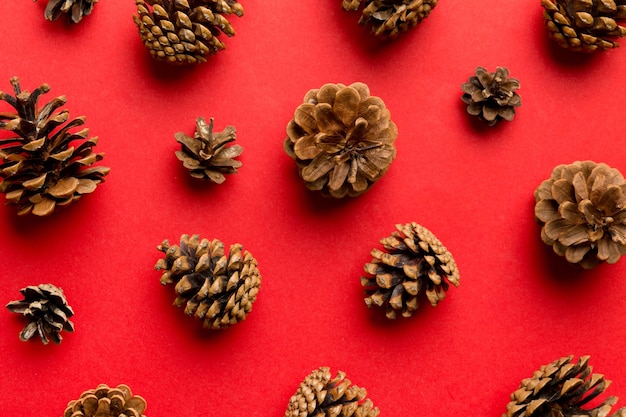 pine cones on colored table natural holiday background with pinecones grouped together Flat lay Winter concept