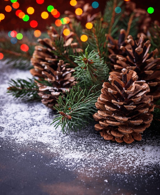 Pine cones and fir branches. 