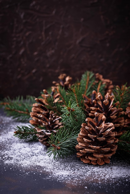 Pine cones and fir branches. 