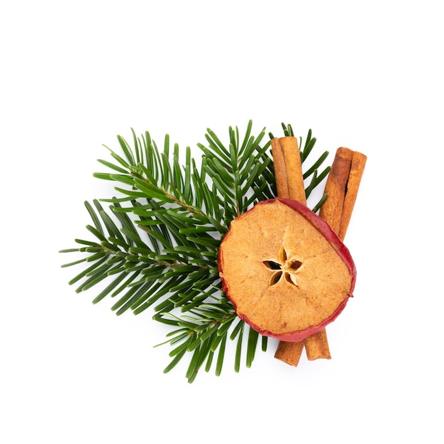 Pine cones and fir tree branch on a white background.