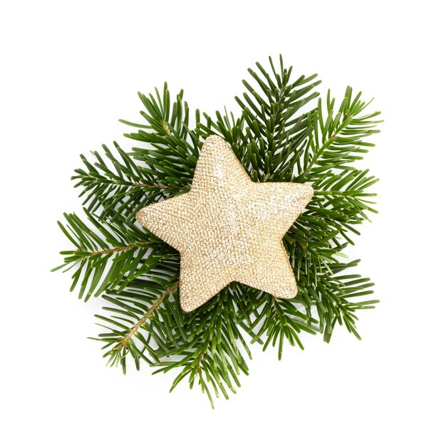 Pine cones and fir tree branch on a white background.