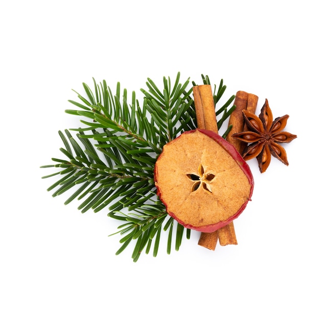 Pine cones and fir tree branch on a white background