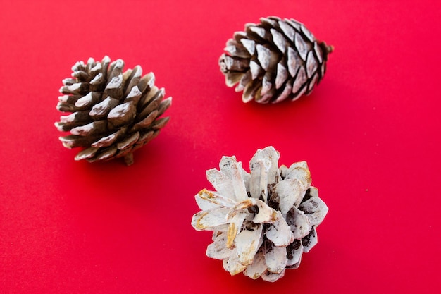 Pine cones on the red background Christmas decorations Christmas tree ornaments