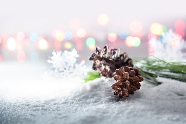 Pine cones on snow 