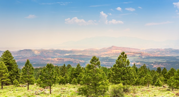 Pine forest against rocky mountains.