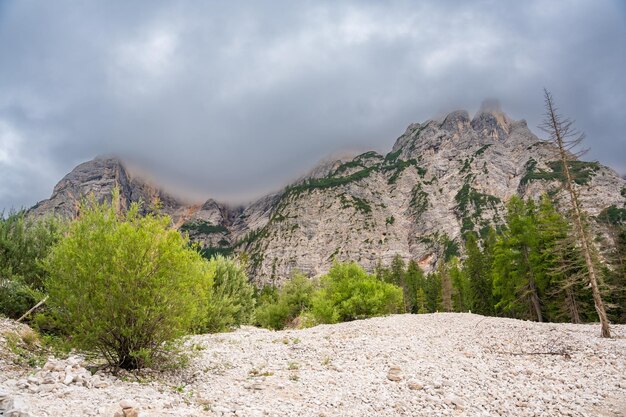 Photo pine forests and the rocky ranges near braies lake in the dolomites in cloudy day italy